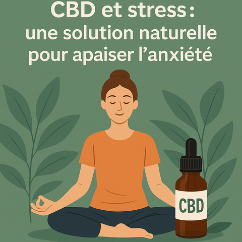 CBD et stress : une solution naturelle pour apaiser l’anxiété au quotidien
