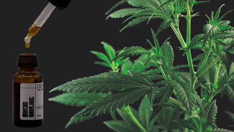 L’huile de CBD, la solution miracle contre les insomnies et troubles du sommeil ?