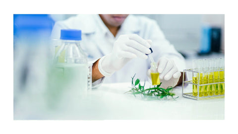 CBD et douleurs chroniques : Peut-il remplacer certains traitements ?