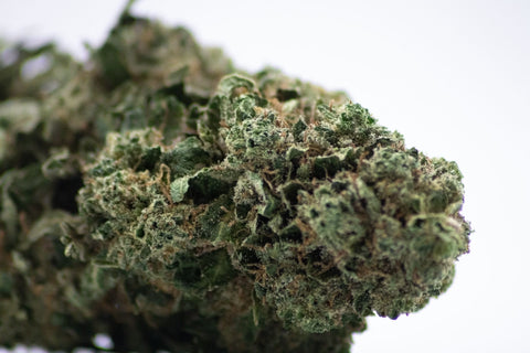 Gamme Local excellence Bio