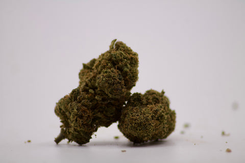 Tropical Haze Indoor
