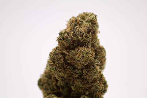 Tropical Haze Indoor