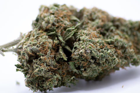 Apple Pie Indoor