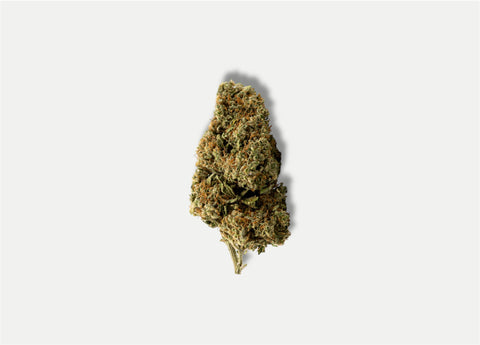 PACK FLEURS