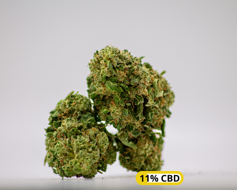 BLUE CHERRY GREENHOUSE