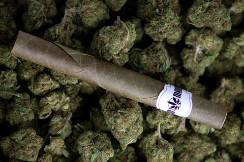 Cigarillo CBD 3G