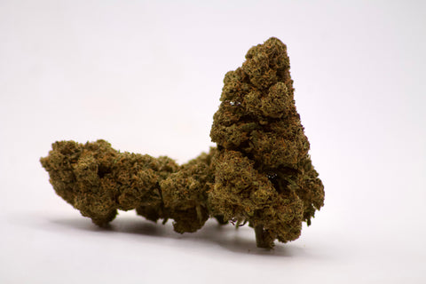 SNOW WHITE HIGH EFFET