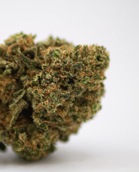 Fruit Gorilla