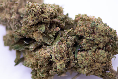 Tropical Haze HIGH EFFETS