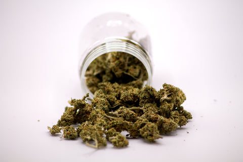 Candy Kush HIGH EFFETS - Small Bud 5G