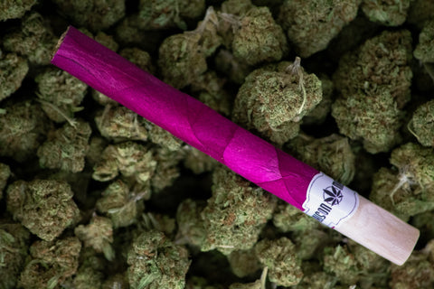 Cigare pétale de rose 2.5G