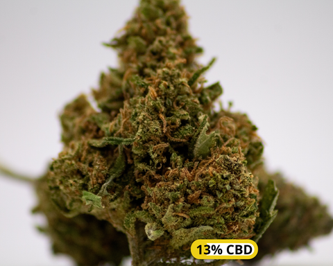 Pink Panther indoor