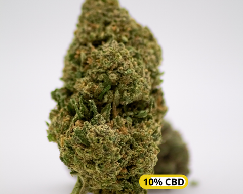 SAPHIR KUSH GREENHOUSE