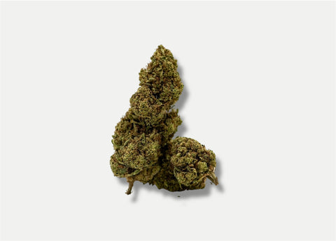 PACK FLEURS