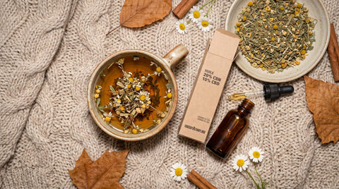Pause d'automne : rituels de détente pour la Toussaint