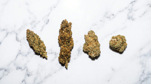 Les meilleures fleurs de CBD de 2026 : notre sélection