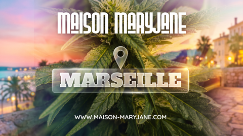 CBD à Marseille : Notre Nouvelle Boutique Rue de Lodi