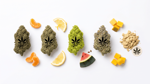 La Sélection d'Août 2026 : nos produits CBD préférés du moment