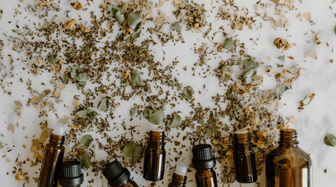 Remèdes naturels : plantes, champignons et cannabinoïdes pour le bien-être au quotidien