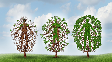 Récupération et Performance : Le CBD, Votre Allié Anti-Inflammation Naturel