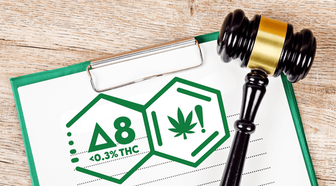 CBD vs. THC vs. Delta-8 : Comprendre la Loi Française