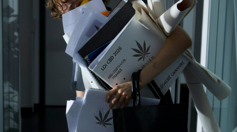 Le CBD en 2026 : Votre guide local de confiance