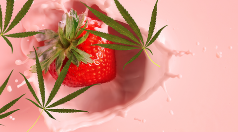 Strawberry : la douceur gourmande des fruits rouges