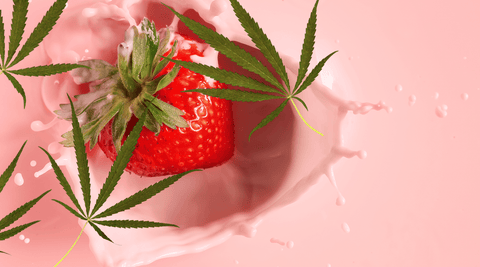 Strawberry : la douceur gourmande des fruits rouges