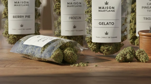 THV+ vs. THC : Quelle est cette molécule et quels sont ses effets ?