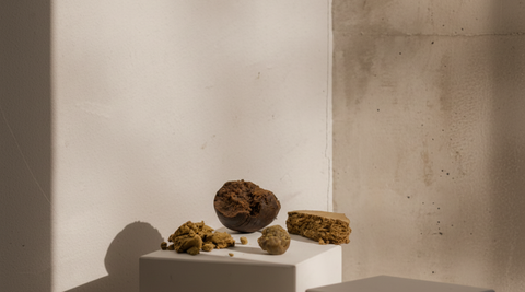 Découvrez la Pureté Maximale : Qu'est-ce que le Pollen de CBD ?