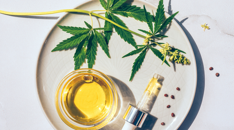 CBD à Calais : votre guide pour une détente et un équilibre naturels