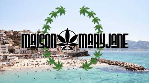 CBD à Marseille : Notre Nouvelle Boutique Rue de Lodi
