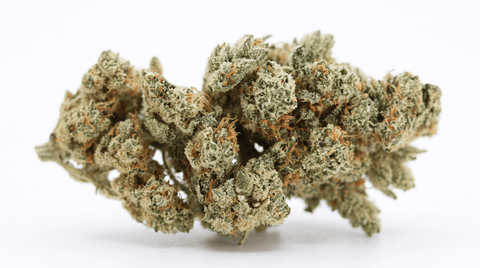 Amnesia CBD : profil et dégustation d'un classique