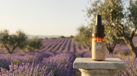 CBD à Bagnols-sur-Cèze : Notre Boutique et Livraison dans le Gard
