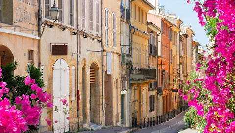 Le CBD en Provence et dans le Sud de la France : le guide Maison Maryjane