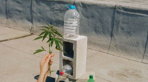 Le Chanvre est-il l'Avenir de l'Écologie ? Les usages au-delà du CBD