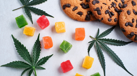 Maison Maryjane : Top 3 Produits de Février 2026