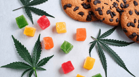Maison Maryjane : Top 3 Produits de Février 2026