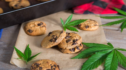 Guide Edibles : Comment doser vos bonbons et cookies THC