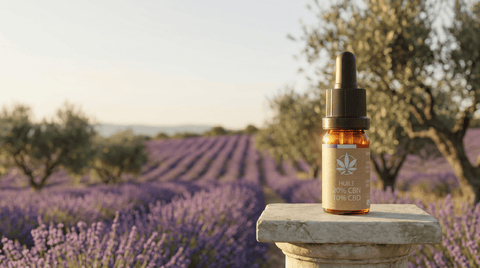 Illustration blog CBD Bagnols-sur-Cèze Guide complet Maison Maryjane