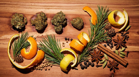 Terpènes d'hiver : les profils aromatiques de la saison