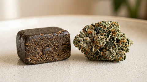 Fleur et résine de CBD Maison Maryjane