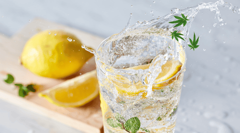 Lemon Tonic : la fraîcheur des agrumes à l'état pur