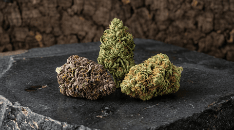 Photo produit Fleurs CBD Gammes exclusives Maison Maryjane