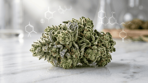 Illustration fleur cbd High Effect