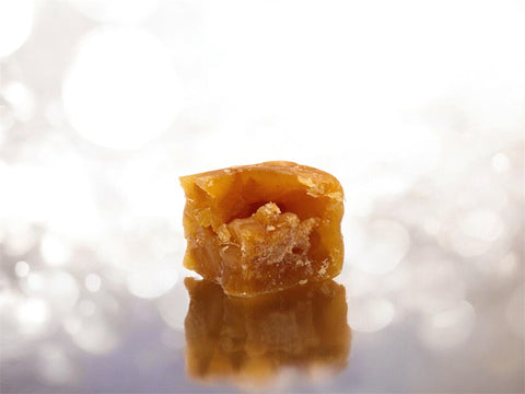 Extraction & Concentré