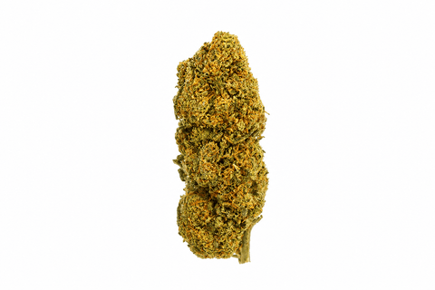 Fleurs THV+