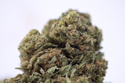 Mary'High