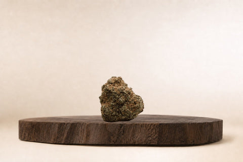Fleurs CBD Indoor & Hydro