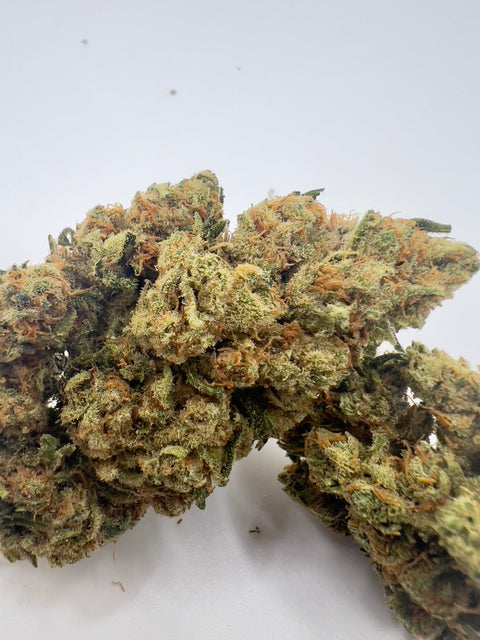 Amnesia Royal
